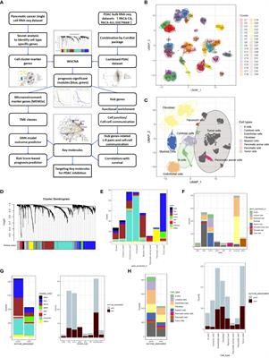 Gene Coexpression Network Characterizing Microenvironmental Heterogeneity and Intercellular Communication in Pancreatic Ductal Adenocarcinoma: Implications of Prognostic Significance and Therapeutic Target